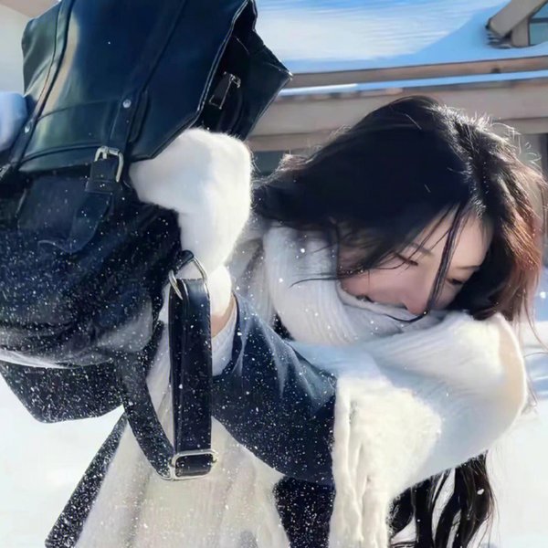 完美伴侣2025
