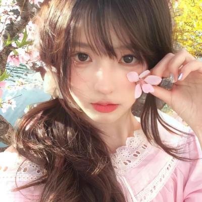 黎明的飞鸟